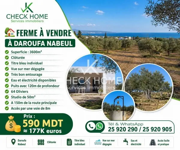 Ferme Daroufa