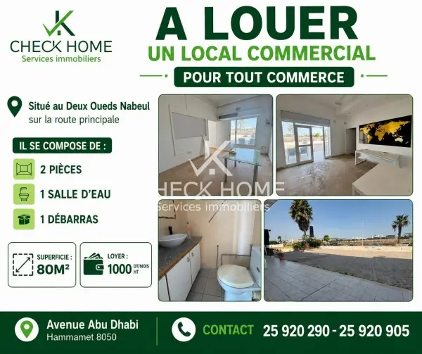 Local Aqua 2