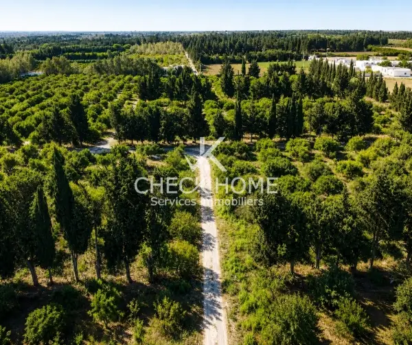 Ferme Slimane